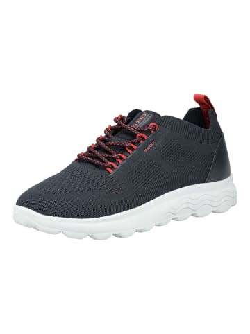 Geox Sneaker in Navy