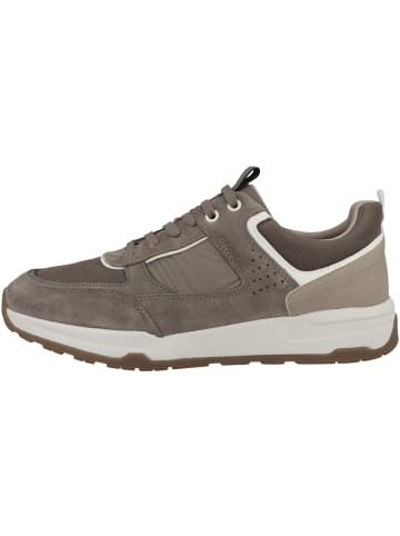 Geox Sneaker low U Litio A in grau