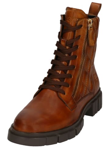 TT. BAGATT Stiefelette in Cognac