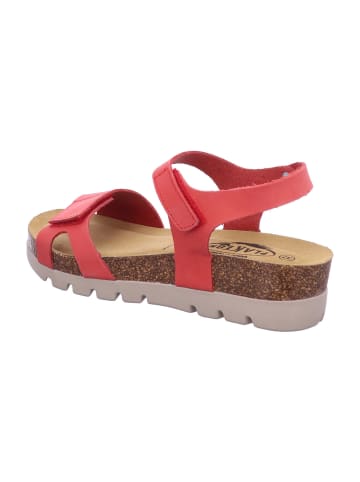 Plakton Sandalette in rot