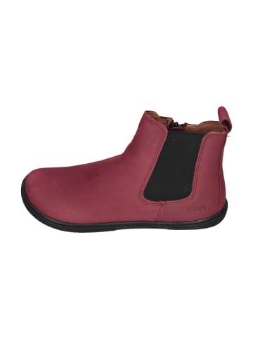KOEL Chelsea Boots FILAS HYDRO 08L009.231-260 in rot