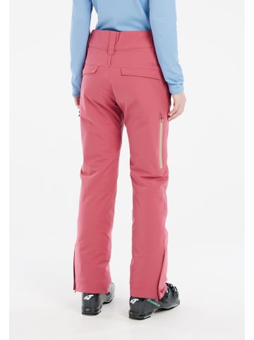 Protest " PRTCARMACKOS in Rose Dust