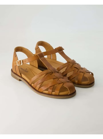 Pikolinos Sandalen in Braun