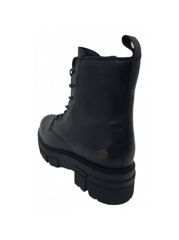 Apple of Eden Schnürstiefel  in Schwarz