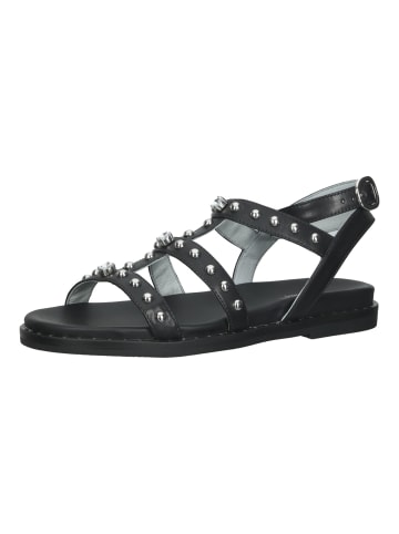 Nero Giardini Sandalen in Schwarz/Silber