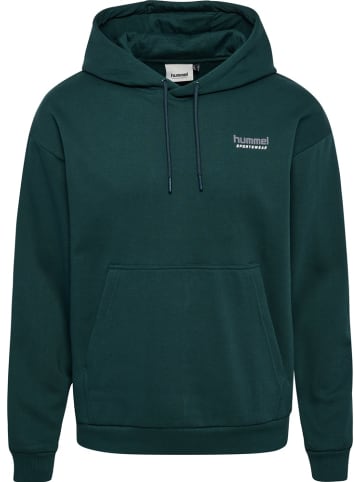 Hummel Hoodie "Loose Hoodie Sportswear" in Grün