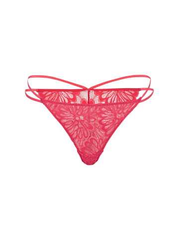 LSCN BY LASCANA Bralette in raspberry