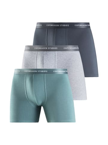 Copenhagen Studios Langer Boxer in salbei / dunkelsalbei / grau-meliert