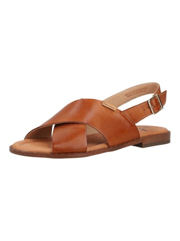 Pikolinos Sandalen Braun