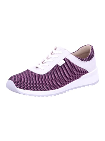 Finn Comfort Schnürschuh CERRITOS in pink/bianco