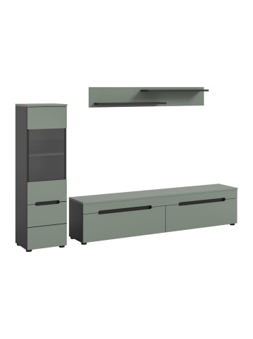 ebuy24 Regalsystem Canu (2-teilig) Staubgrün 221 x 33 cm
