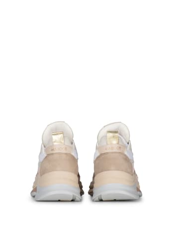 POELMAN Sneaker "MOREA" in Beige mit Kombination