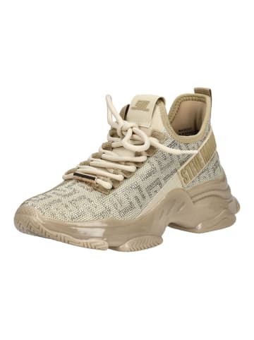 Steve Madden Sneaker in Bronze