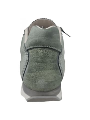 Cetti Sneaker  in Grün