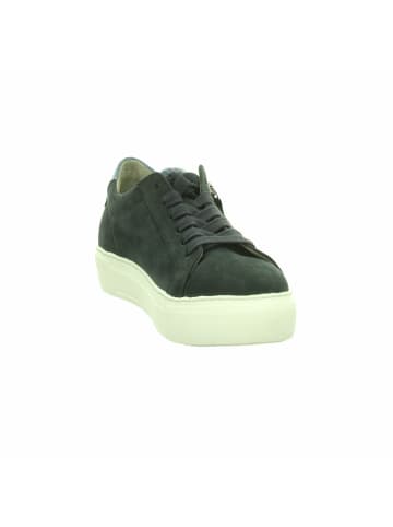 Gabor Sneaker für Damen in blau