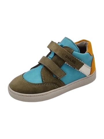 Däumling Klettschuhe in Türkis