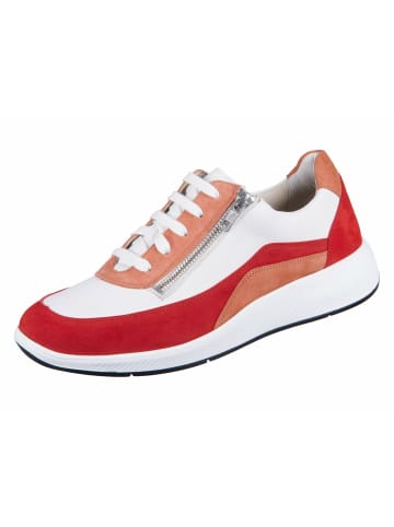 Solidus Sandalen für Damen in uni