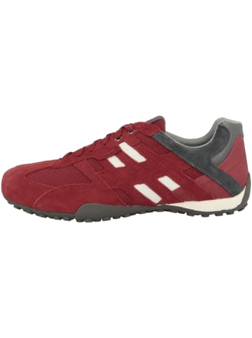 Geox Sneaker low U Snake K in rot