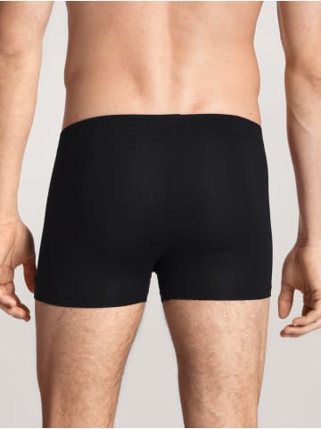 Calida New Boxer in schwarz