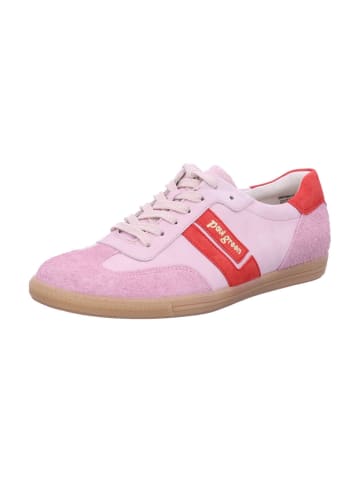 Paul Green Schnürschuhe in PASTELL
