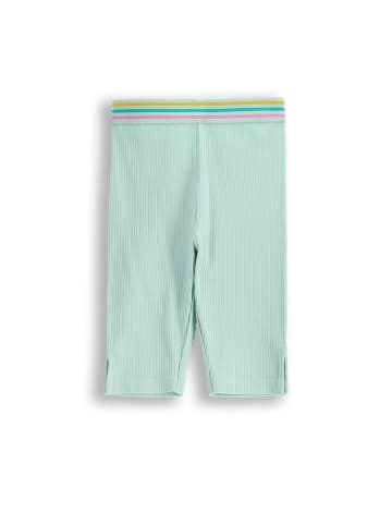 Coccodrillo Kurze Leggings in in Minzfarbe