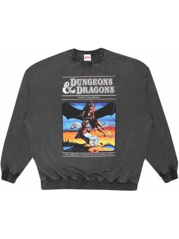Dungeons And Dragons Pullover in Grau