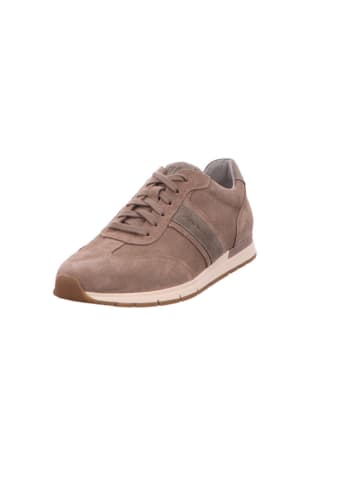 Pius Gabor Sneaker Low in beige