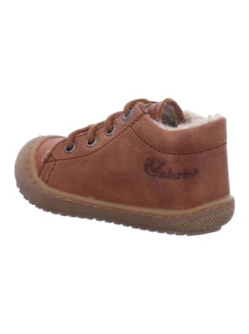 Naturino Stiefel Kinder  in Braun