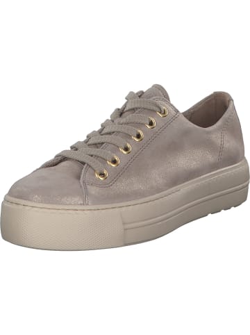 Paul Green Sneakers Low in cachemire