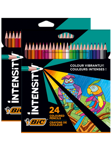 Bic Intensity Buntstifte - 24 verschiedene Farben, 2 x 24er Pack