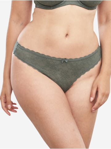 SugarShape String Sienna in olive