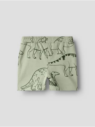 name it Shorts in Swamp1