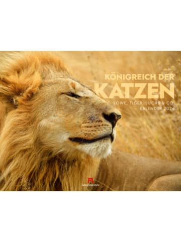 Ackermann Kunstverlag Kalender - Königreich der Katzen Kalender 2026 | Löwe, Tiger, Luchs &