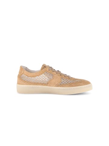 Gabor Sneaker in braun