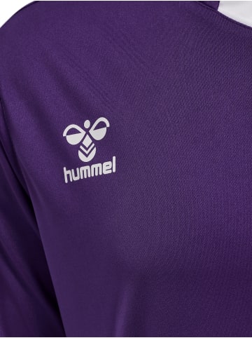 Hummel Hummel T-Shirt Hmlcore Multisport Herren Atmungsaktiv Feuchtigkeitsabsorbierenden in ACAI/WHITE