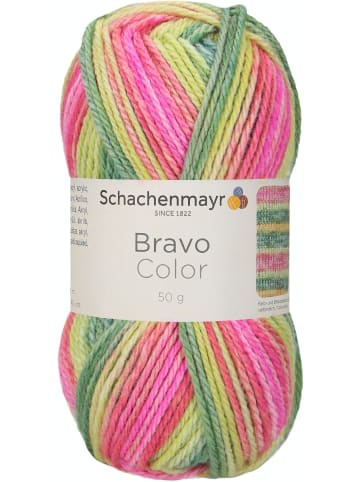 Schachenmayr since 1822 Handstrickgarne Bravo Color, 50g in Wassermelone