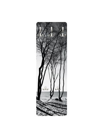 WALLART Garderobe - Bäume an der Ostsee in Schwarz-Weiß