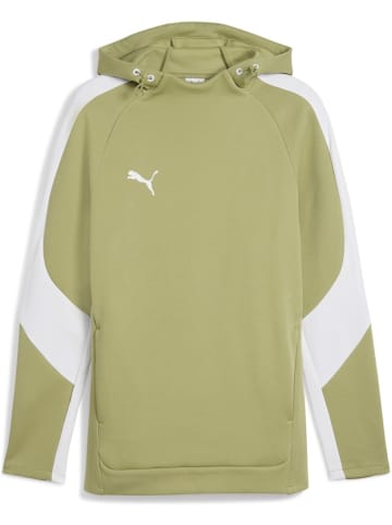 Puma Hoodie "TeamEVOSTRIPE Hoody" in Grün