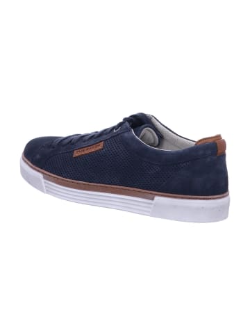 Pius Gabor Sneaker in blau