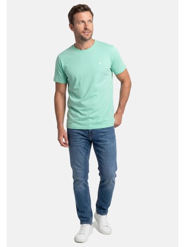 Lerros T-Shirt Basic in Mint / weiß
