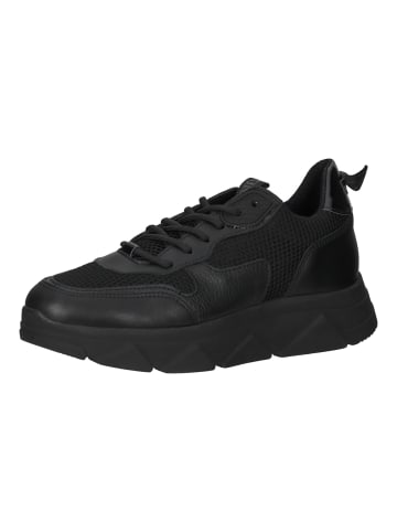 Steve Madden Sneaker in Schwarz