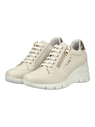 Nero Giardini Sneaker in Beige