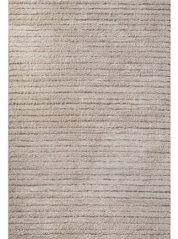 the carpet Hochflorteppich Bahar D in Beige