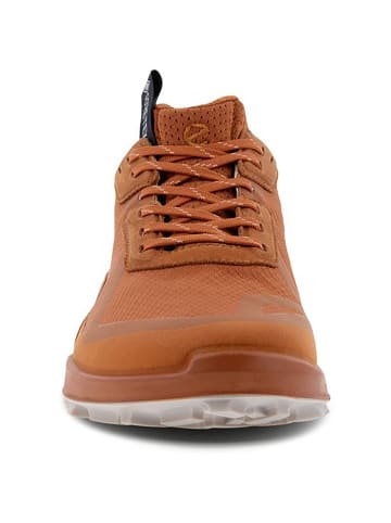 Marmot W BIOM 2.1 X COUNTRY I in Braun