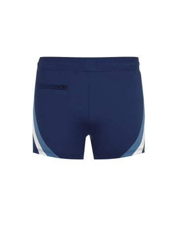 wavebreaker Badehose in blau