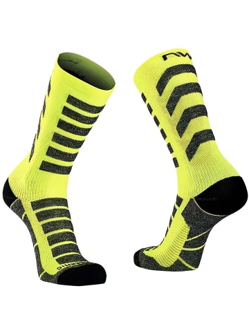 NORTHWAVE Socke in Gelb
