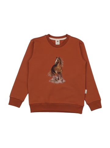 Walkiddy Sweatshirt Graceful Horses-Sweatshirt