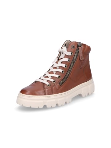 Paul Green High-Top Sneaker in Cognac