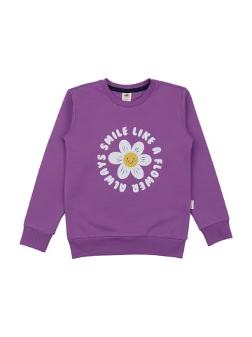 Walkiddy Sweatshirt Happy Hoopoes-Sweatshirt