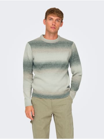 Only&Sons Strickpullover Rundhals Flachstrick Regular Fit in Beige-2